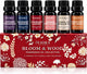 Premium Fragrance Oil Set
